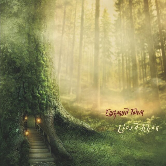 Enchanted Forest