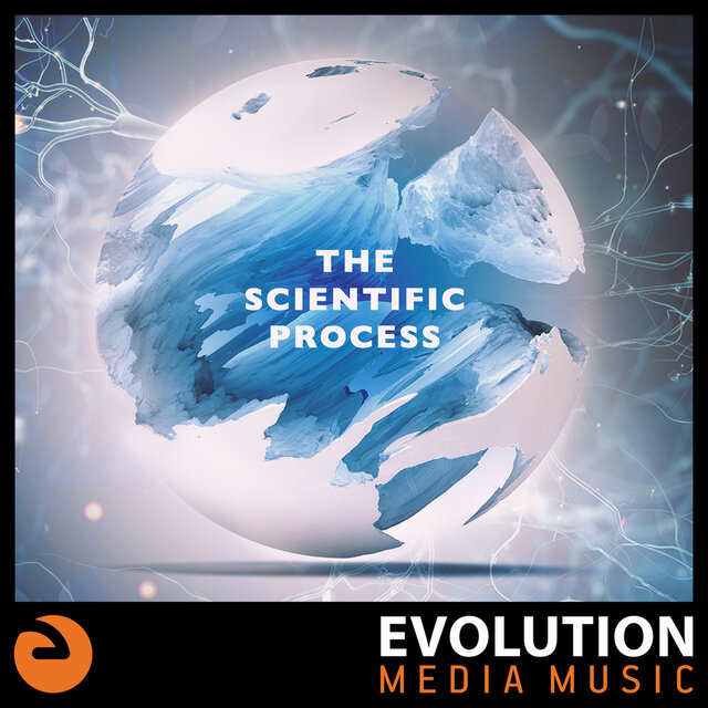 The Scientific Process