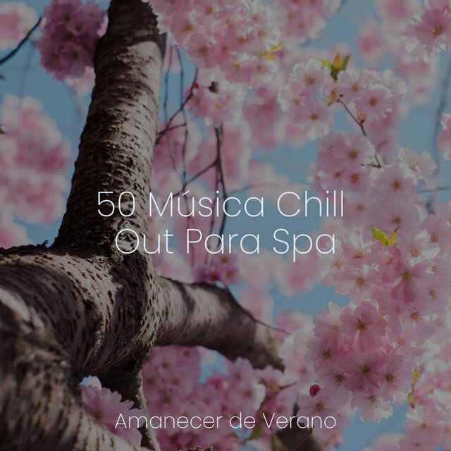 50 Música Chill Out Para Spa