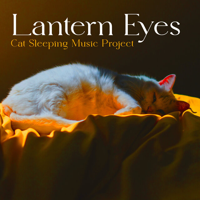 Lantern Eyes