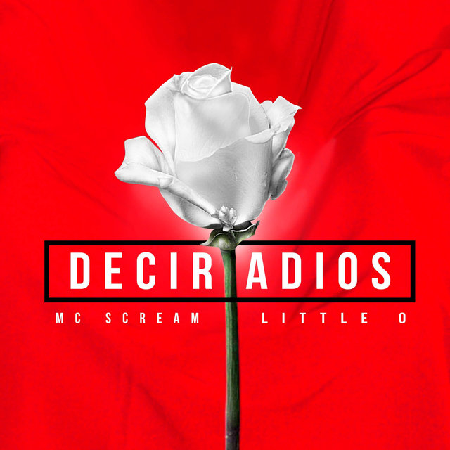 Decir Adiós