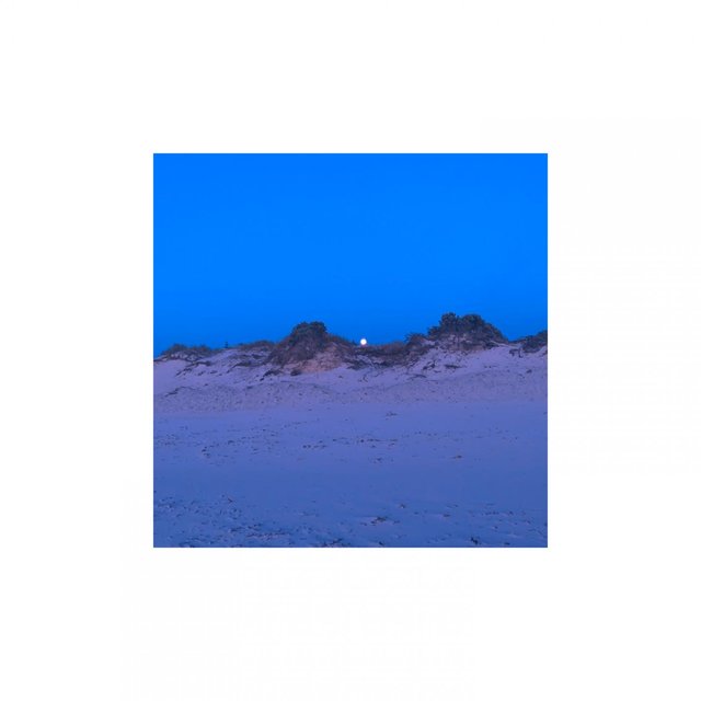 Fly Away