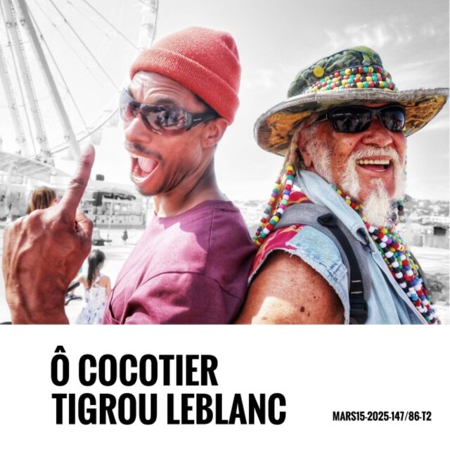 Ô cocotier