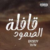 قافلة الصمود