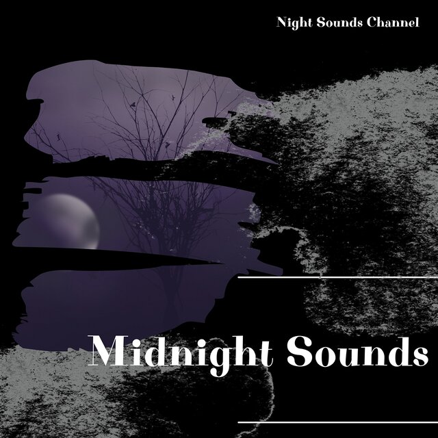 Midnight Sounds: Serene Night 