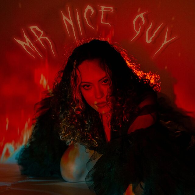 Mr. Nice Guy
