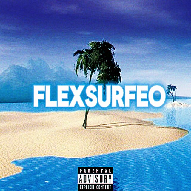 FlexSurfeo