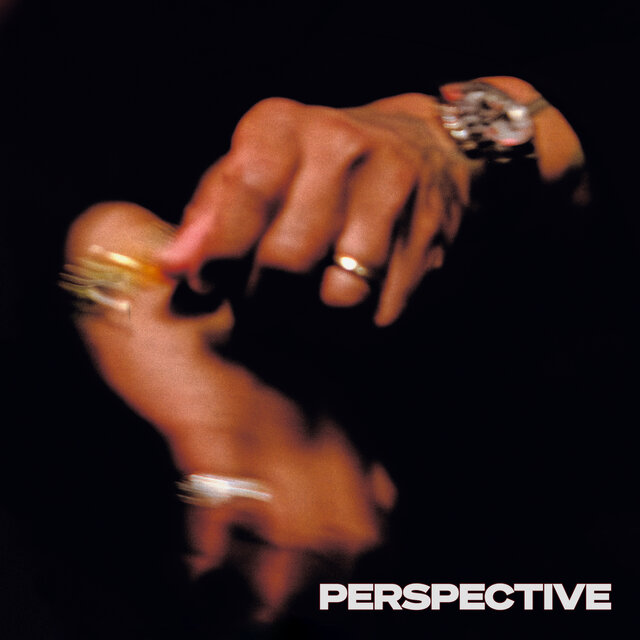 Cover art for album PERSPECTIVE by Terrace Martin