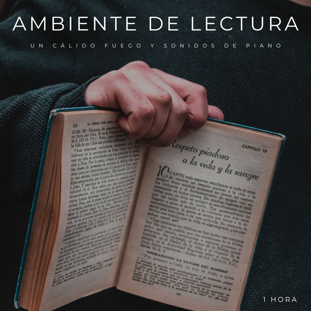 Ambiente De Lectura: Un Cálido Fuego y Sonidos De Piano - 1 Hora