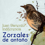 Pensalo Bien