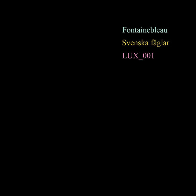 Svenska Fåglar EP
