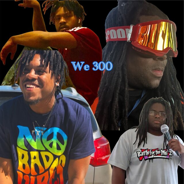 WE 300