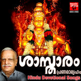Kettu ketti