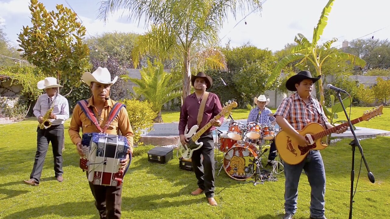 El Hijo De Camelia (Live)