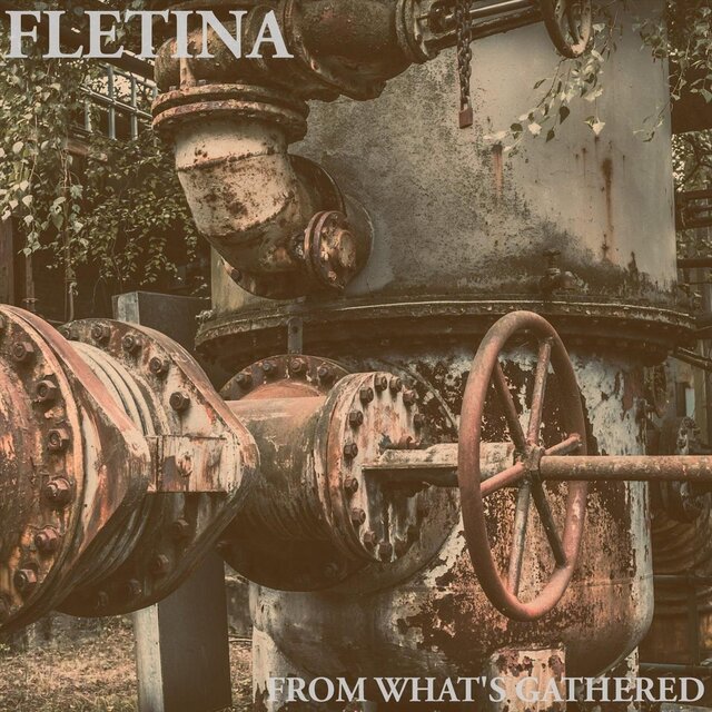 From What's Gathered