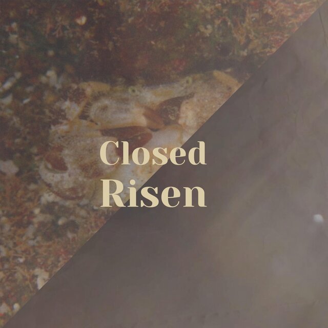 Closed Risen