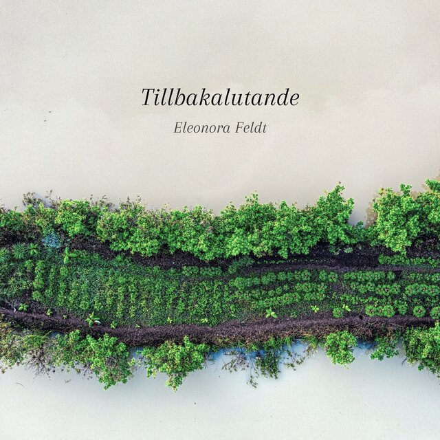 Tillbakalutande