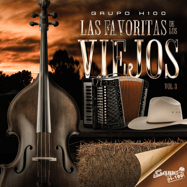 Las Favoritas De Los Viejos Vol.3 (En Vivo)