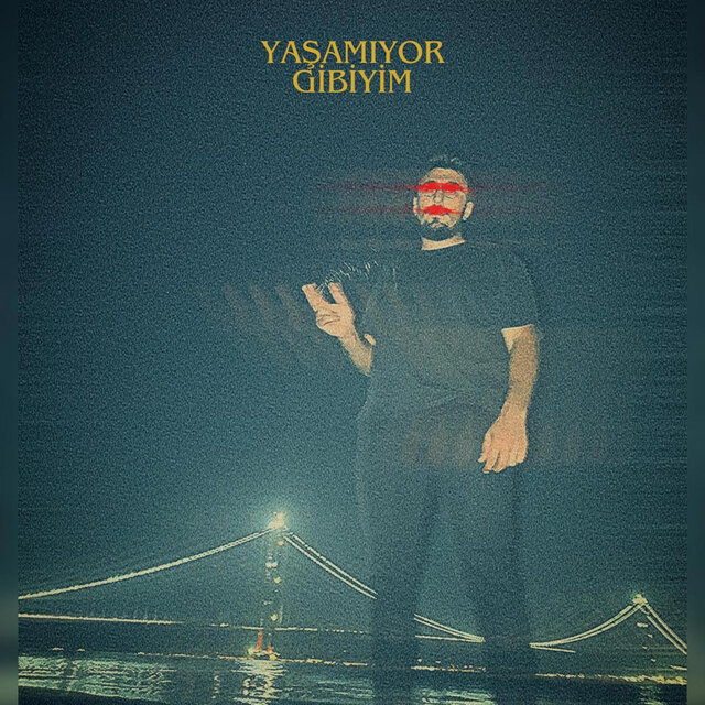 YAŞAMIYOR GİBİYİM