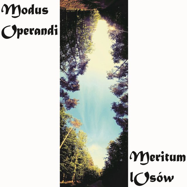 Meritum lOsów
