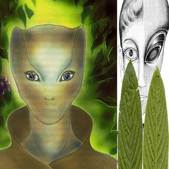 Kratom