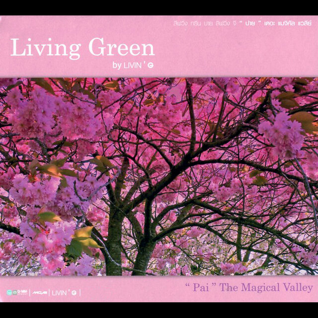 Living Green by LIVING G Pai The Magical Valley
