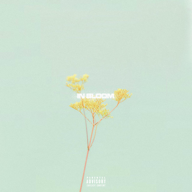 IN BLOOM