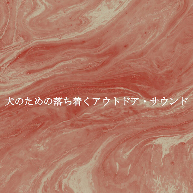 犬のための落ち着くアウトドア・サウンド