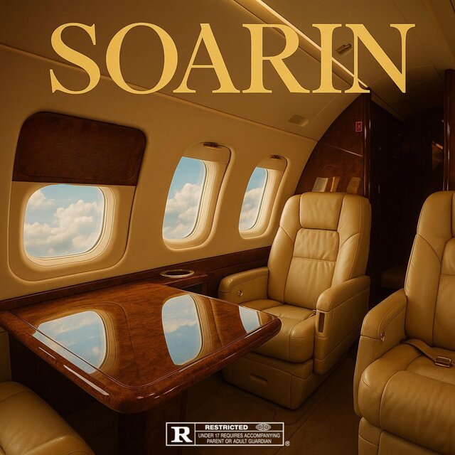 SOARIN