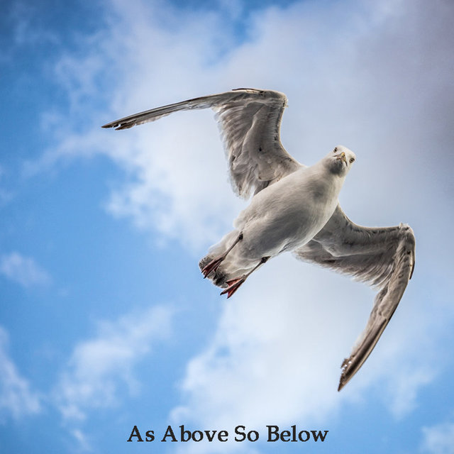 As Above So Below