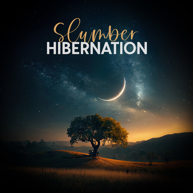 Slumber Hibernation: Tranquil Music to Fall A Sleep