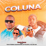Coluna