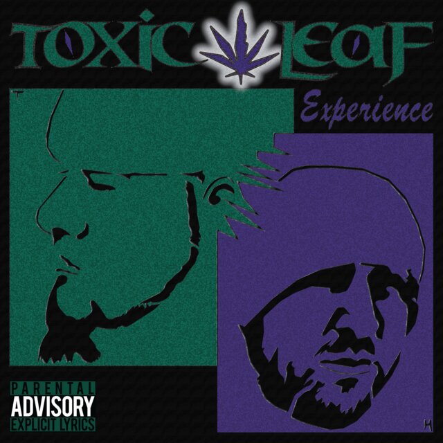 Experience