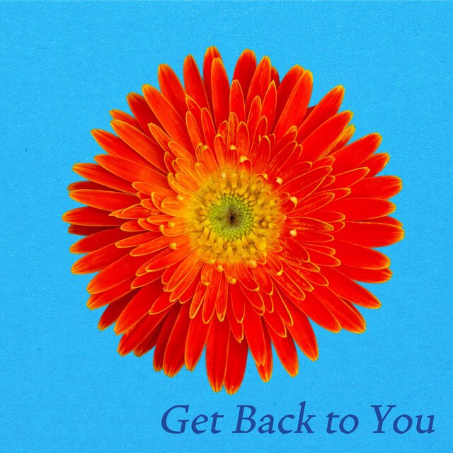 Get Back to You