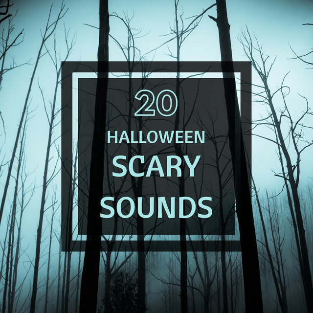 20 Halloween Party Scary Sounds - Creepy Haunted Atmospheric Dark Music for Party, Scary Stories & Horror Nights
