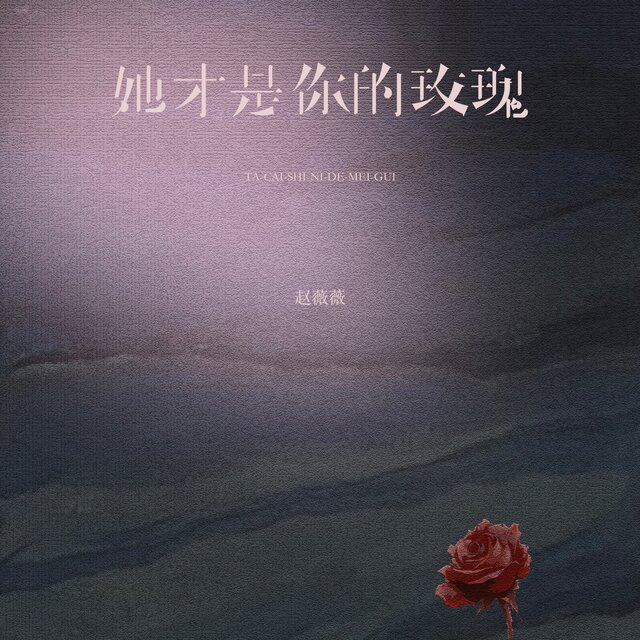 她才是你的玫瑰