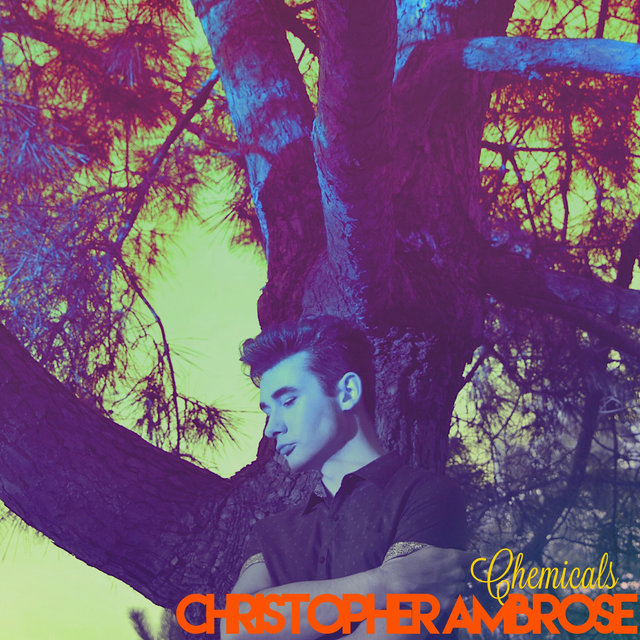 Chemicals