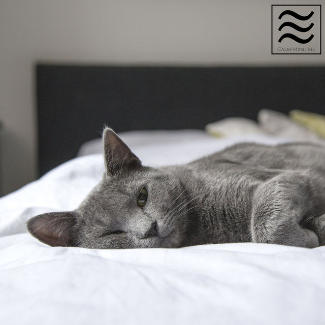 Relaxing Noises for Sleeping Babies
