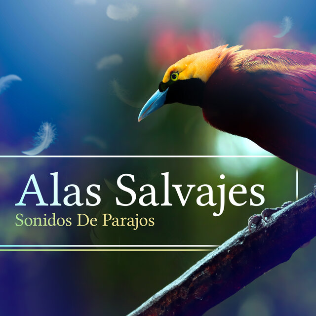 Alas Salvajes