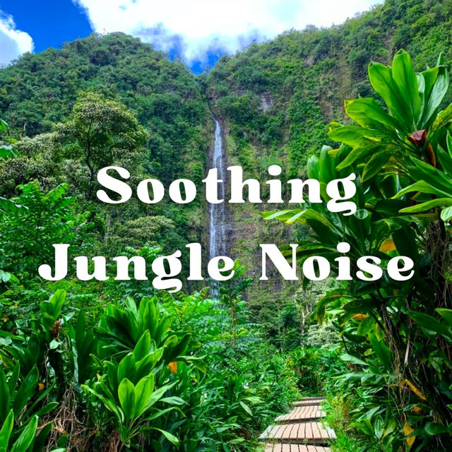 Soothing Jungle Noise - 1 hour