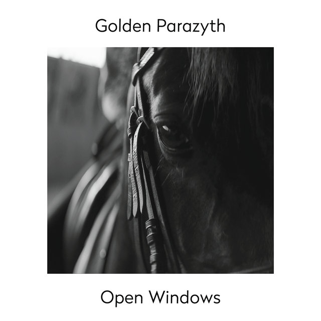 Open Windows