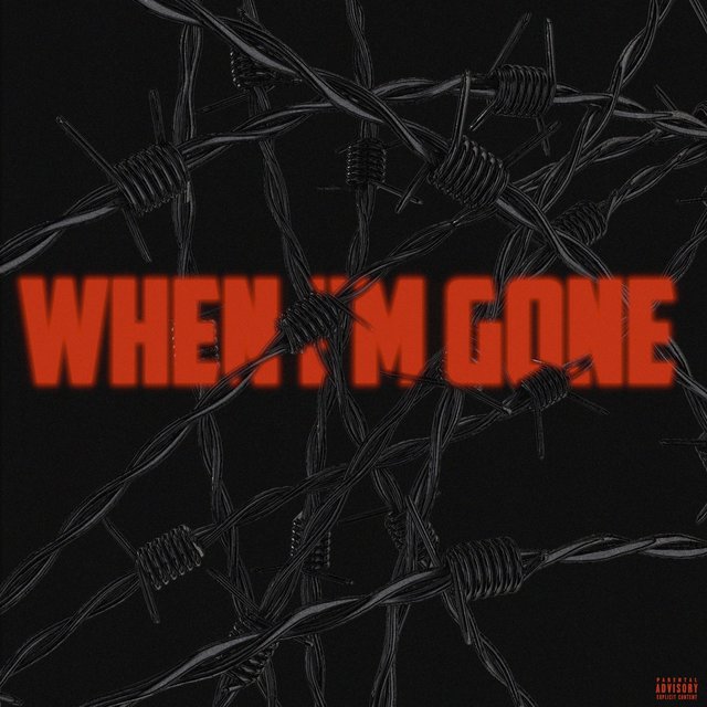 When I'm Gone (feat. VIN)