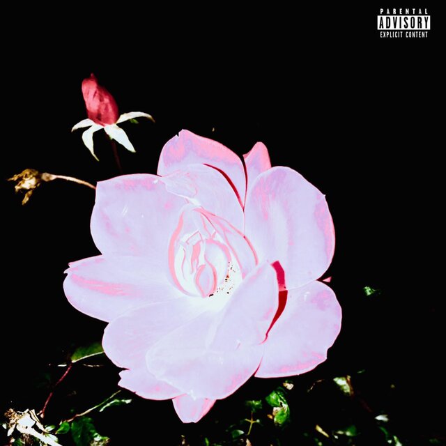 Untitled Unedited (Titled Edition)