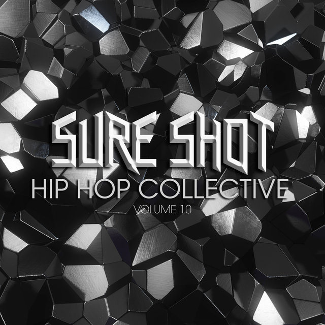 Sure Shot: Hip Hop Collective, Vol. 10