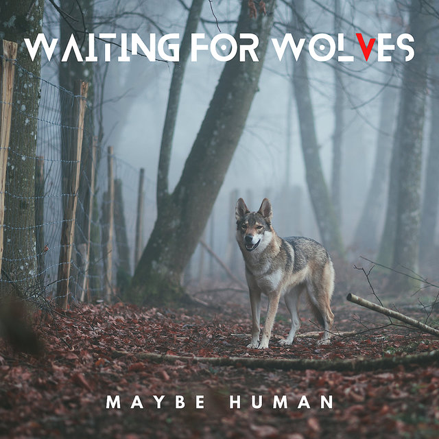 Waiting for Wolves