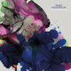 Cover art for album Belladonna (feat. The Mivos Quartet) by Mary Halvorson, The Mivos Quartet
