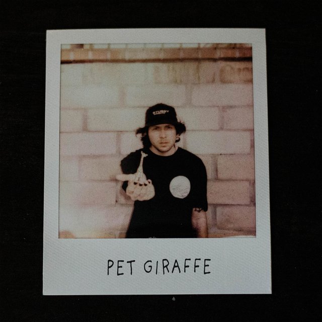 Cover art for album Pet Giraffe by HARRY WAS HERE