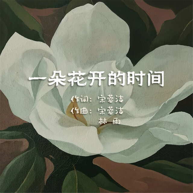 一朵花开的时间