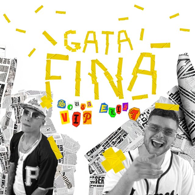 Gata Fina
