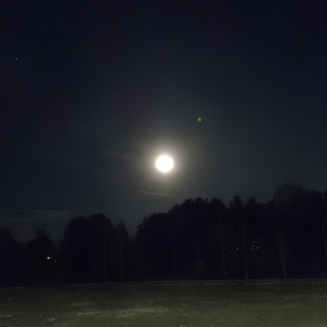 Любовь и алкоголь